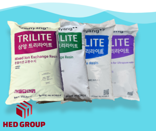 Công Ty Cổ Phần HED GROUP